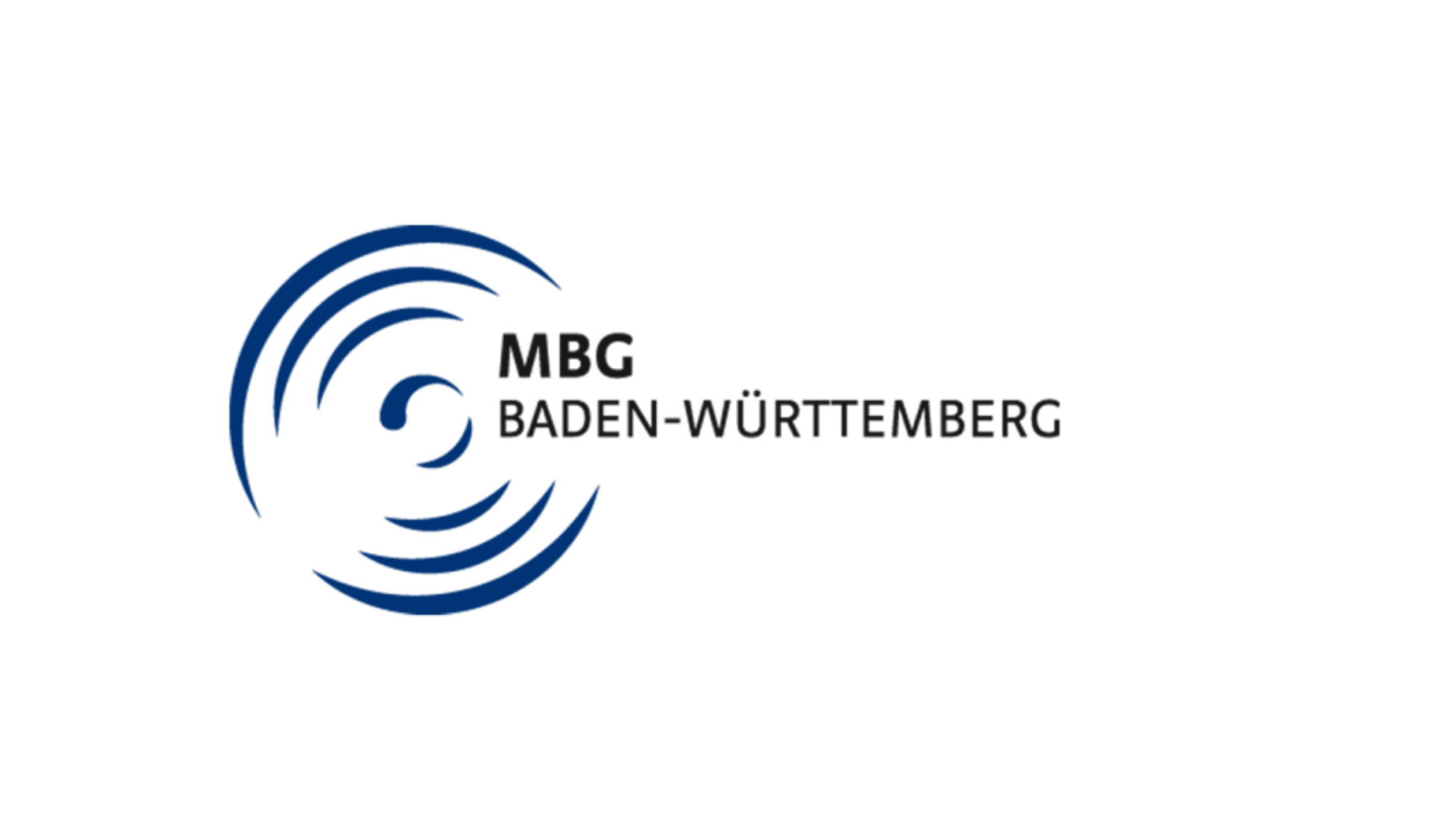 Logo VfB