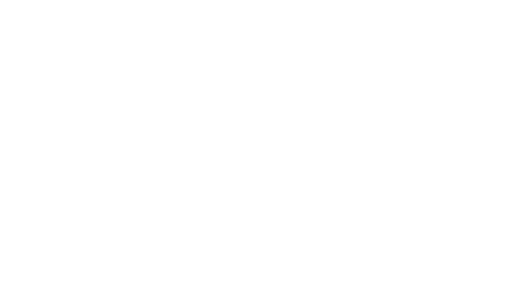 Festo 